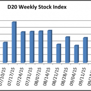 D20 Stock Index