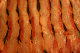 Bacon1